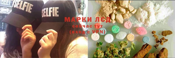 ГАЛЛЮЦИНОГЕННЫЕ ГРИБЫ Баксан