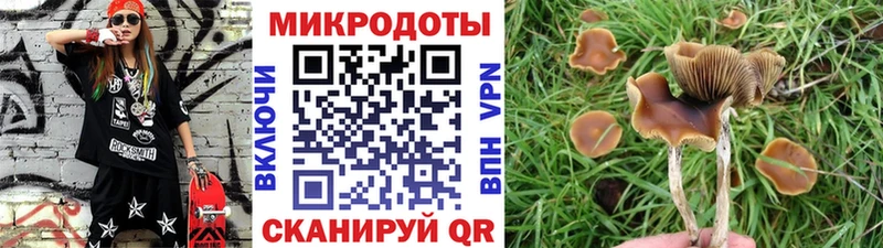 купить наркотики цена  Куровское  Галлюциногенные грибы мицелий 